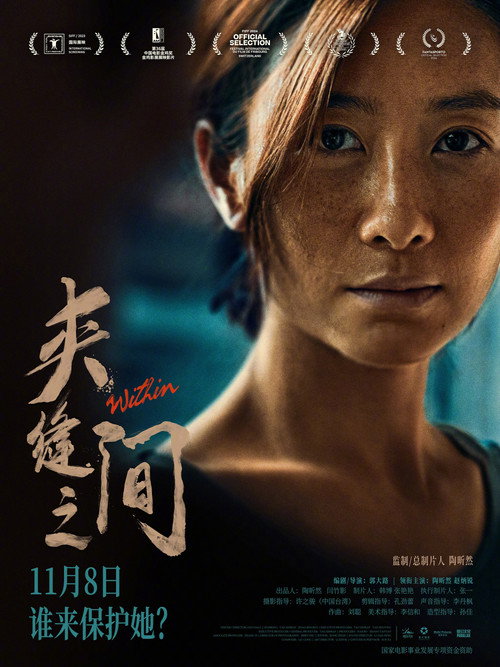 Poster for В пределах