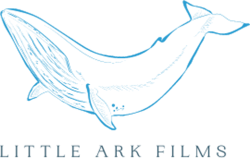 Каталог фильмов от студии Little Ark Films - Рейтинги, отзывы, дата выхода на CUB