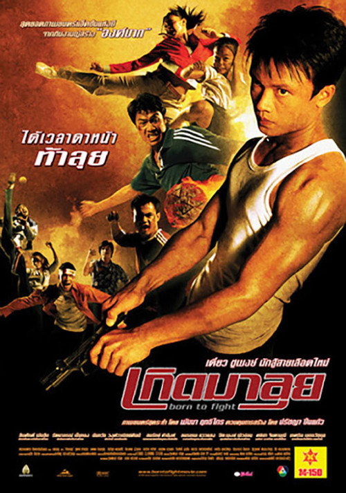 Poster for Born to Fight