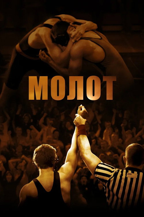 Poster for The Hammer