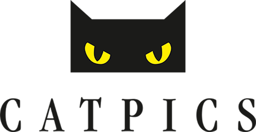 Каталог сериалов от студии Catpics - Рейтинги, отзывы, дата выхода на CUB