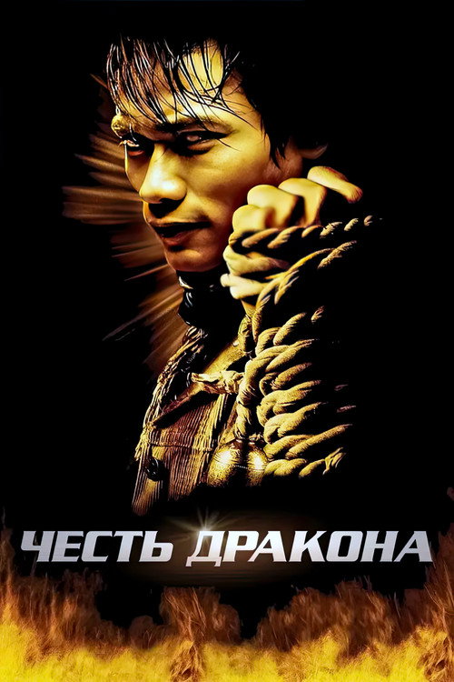 Poster for The Protector
