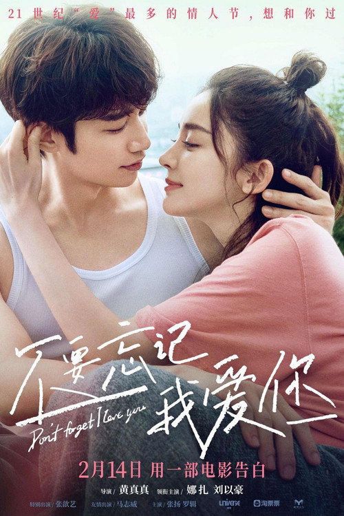 Poster for Не забывай, что я тебя люблю