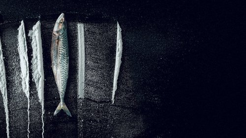 Backdrop for Белый прилив: сюрре алистическая история о рыбьем хвосте