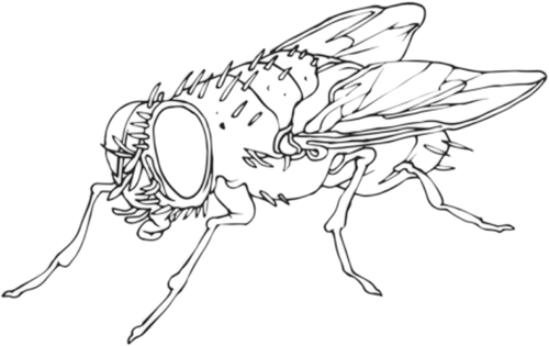 Каталог фильмов от студии Flies Collective - Рейтинги, отзывы, дата выхода на CUB