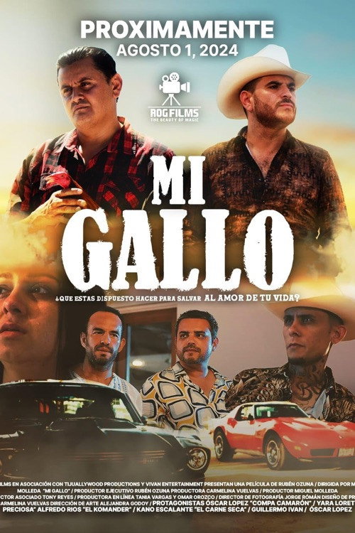 Poster for Mi Gallo