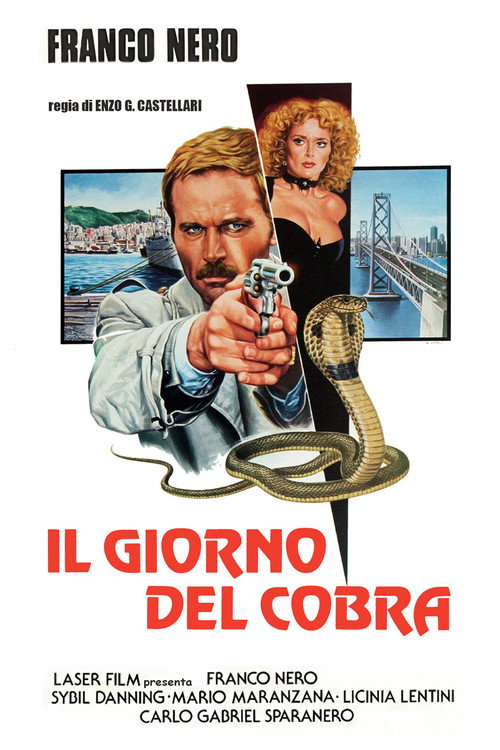 Poster for Day of the Cobra