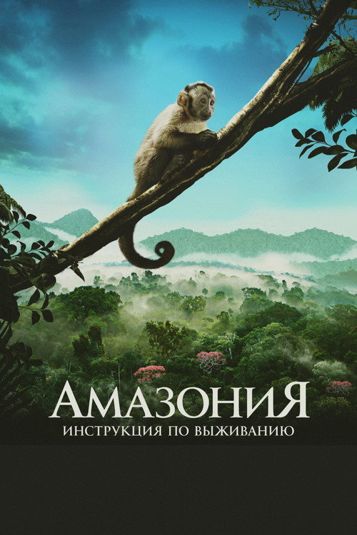 Poster for Амазония: Инструкция по выживанию