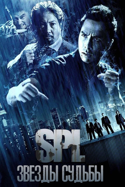 Poster for SPL: Kill Zone