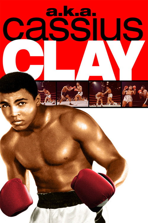 Poster for он же Кассиус Клей