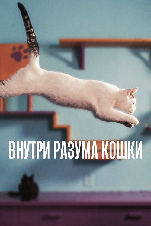 Poster for Внутри разума кошки
