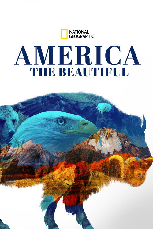 Poster for Прекрасная Америка