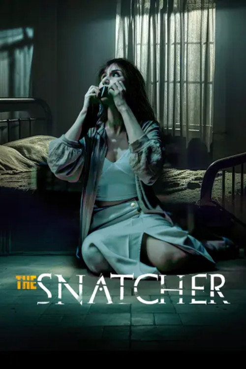 Poster for The Snatcher