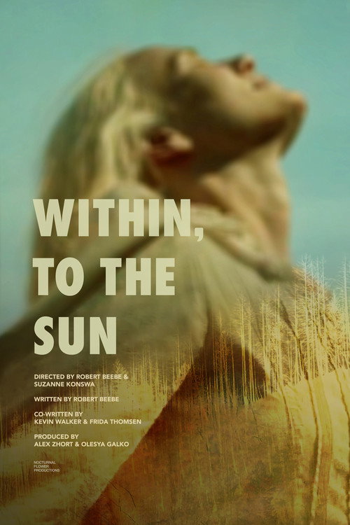 Poster for Внутри, к Солнцу