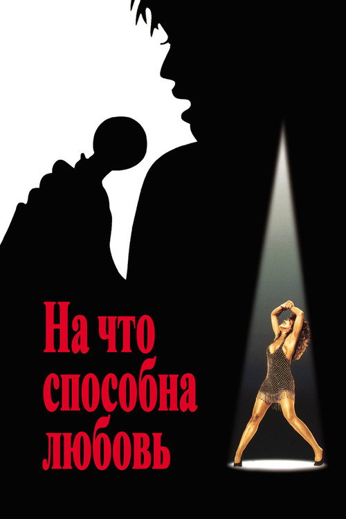 Poster for What's Love Got to Do with It
