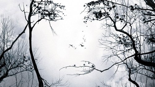 Backdrop for Предчувствие