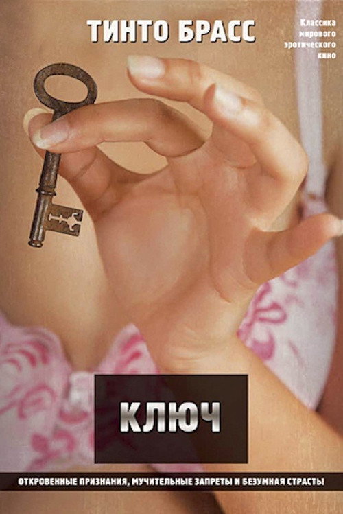 Poster for The Key