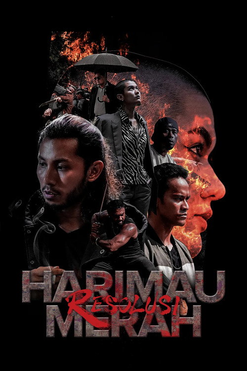 Poster for Красный тигр: резолюция