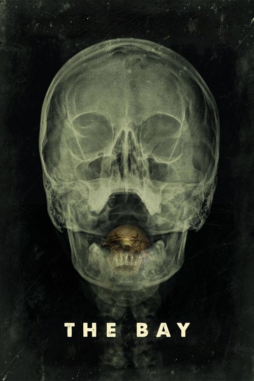 Poster for Залив