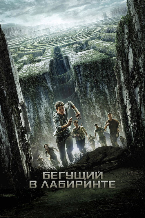 Poster for The Maze Runner