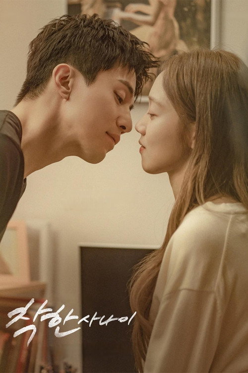Poster for The Nice Guy