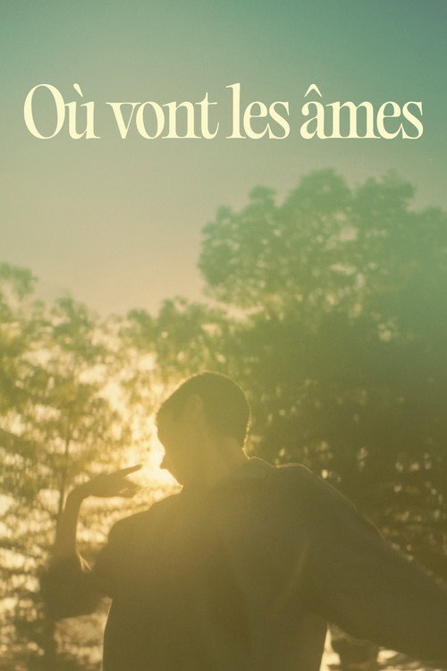 Poster for Куда уходят души