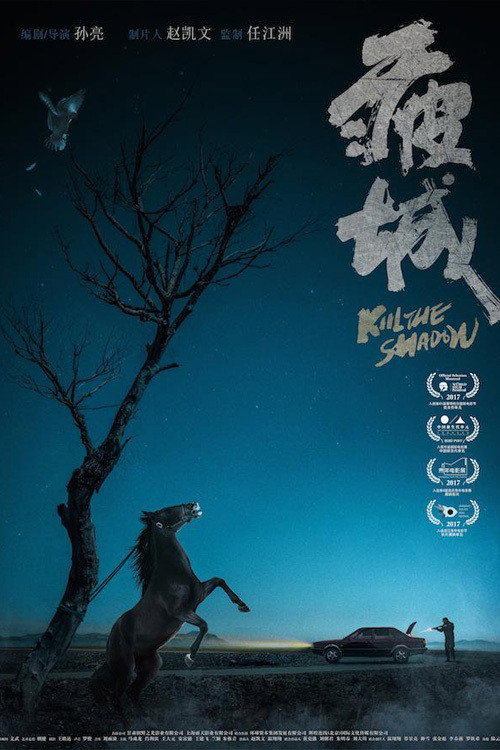 Poster for Kill the Shadow