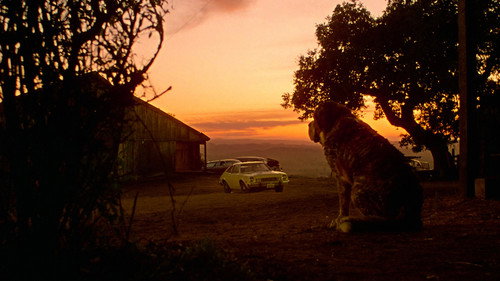 Backdrop for Куджо