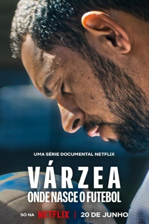 Poster for The Root of the Game