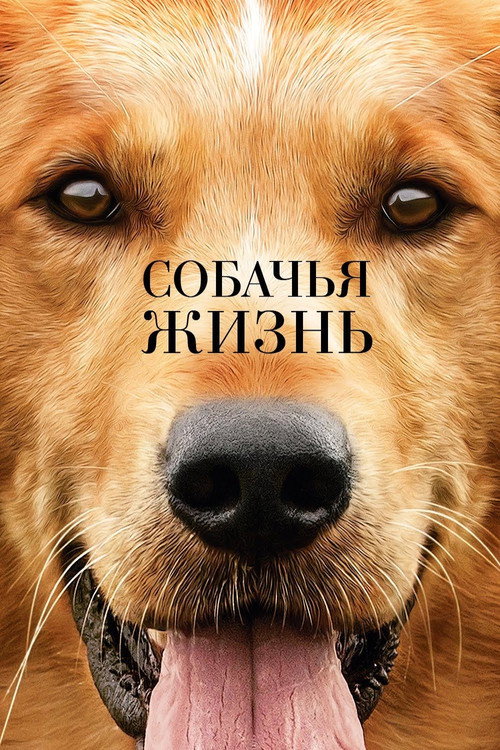 Poster for A Dog's Purpose
