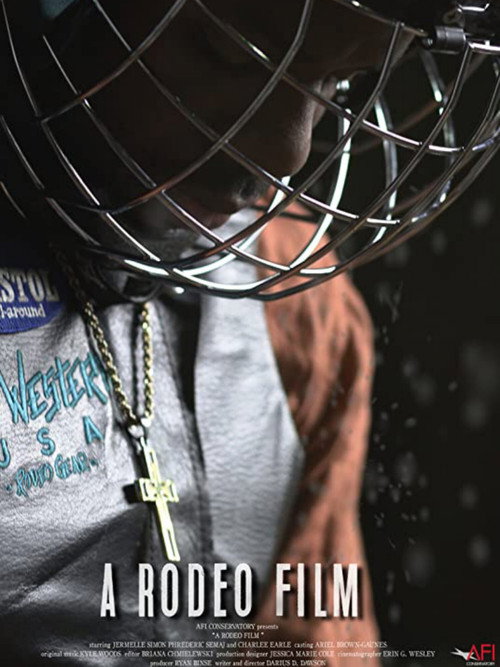 Poster for A Rodeo Film