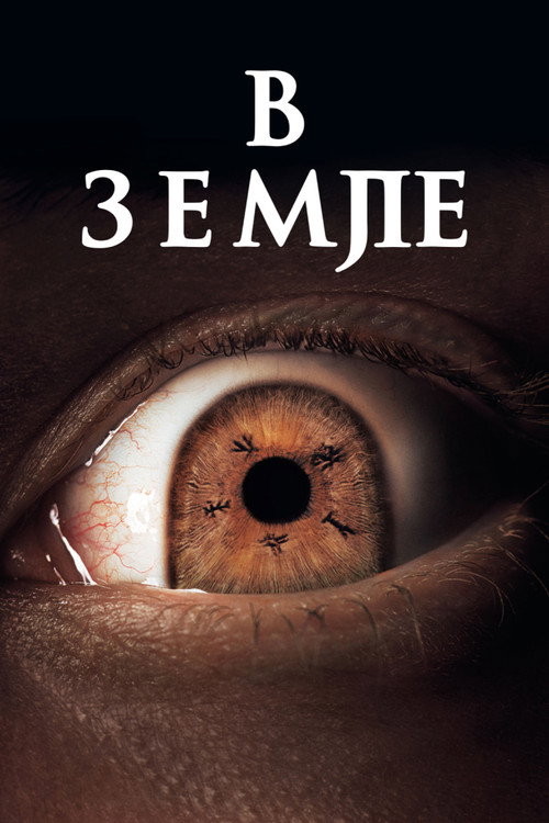 Poster for На Земле