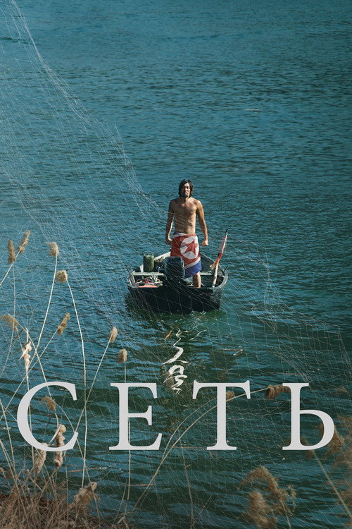 Poster for The Net