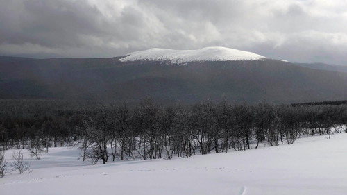 Backdrop for Тайна перевала Дятлова