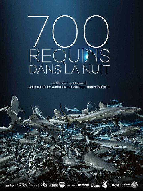 Poster for 700 акул