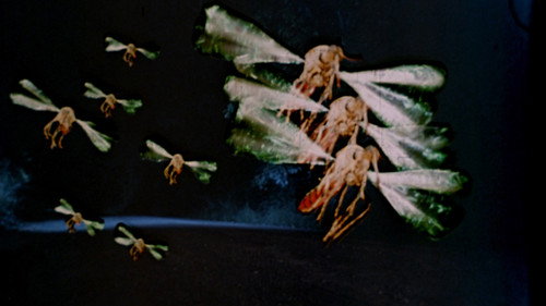 Backdrop for Москиты