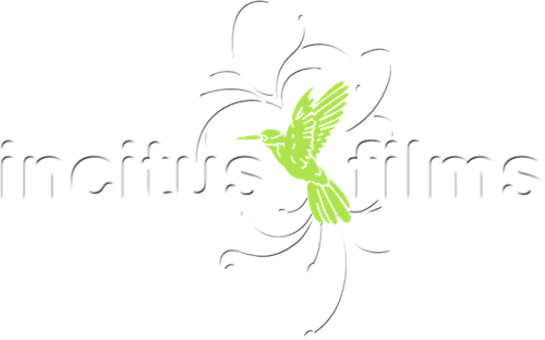 Каталог фильмов от студии Incitus Films - Рейтинги, отзывы, дата выхода на CUB