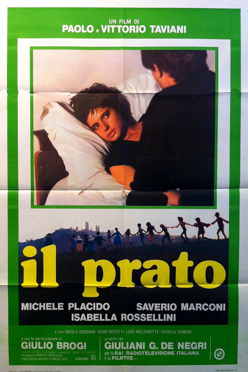 Poster for The Meadow