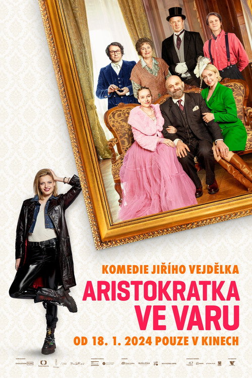 Poster for Аристократ в кипении