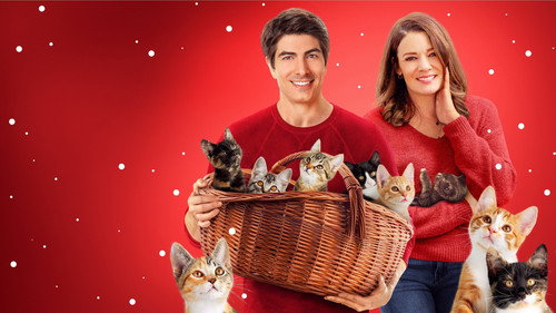 Backdrop for Девять котят в подарок