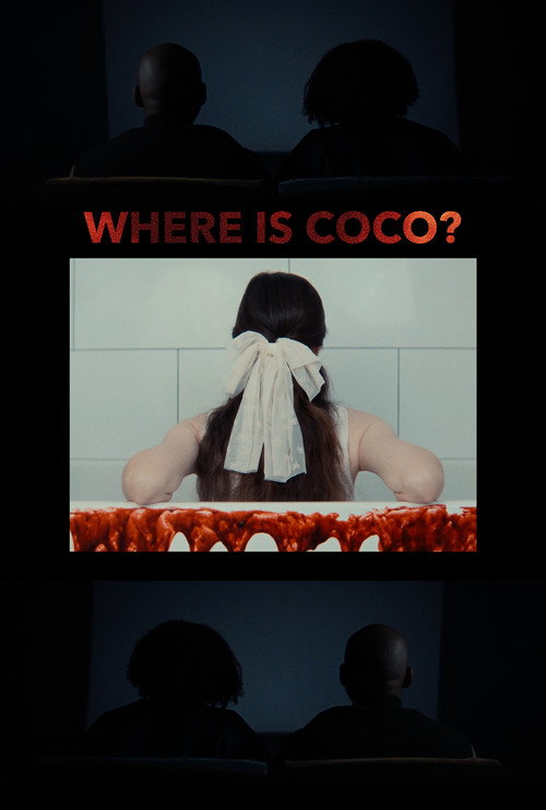Poster for Where is Coco?