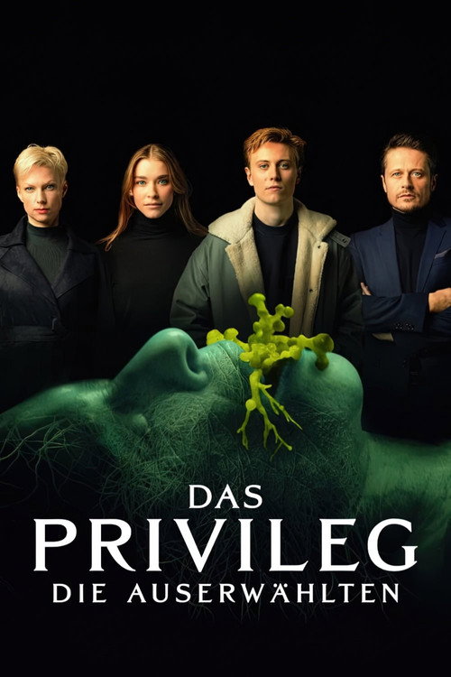 Poster for The Privilege