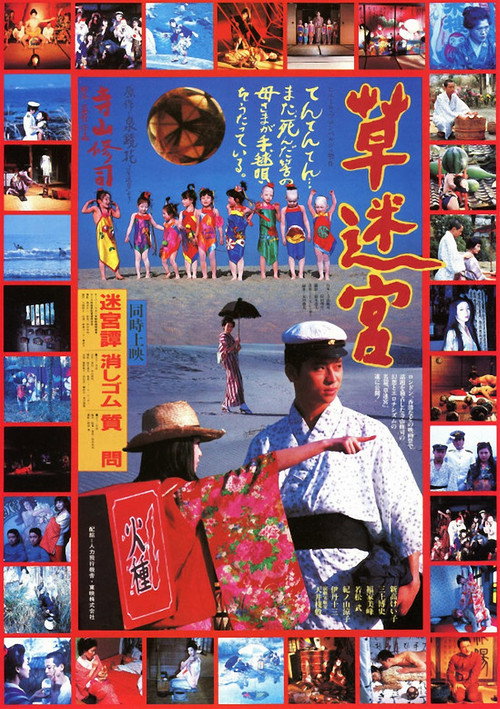 Poster for Grass Labyrinth