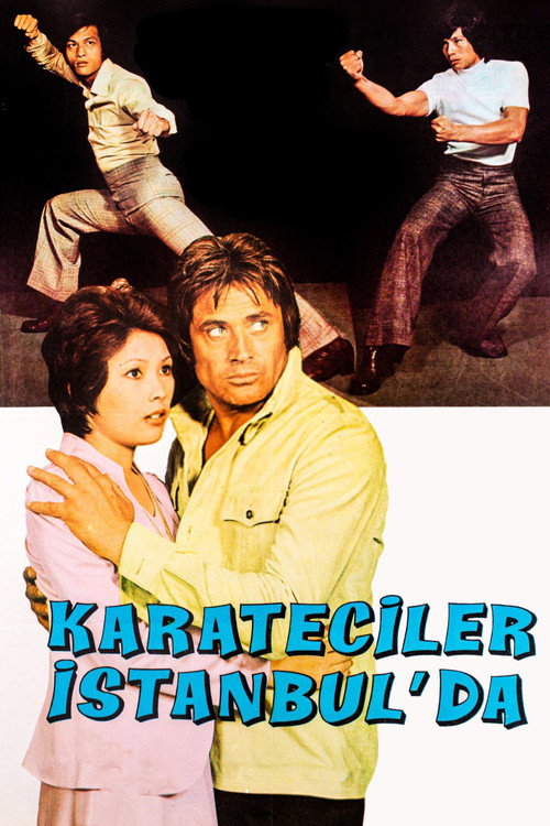 Poster for Ninja Killer