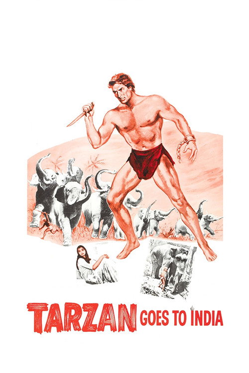Poster for Тарзан едет в Индию