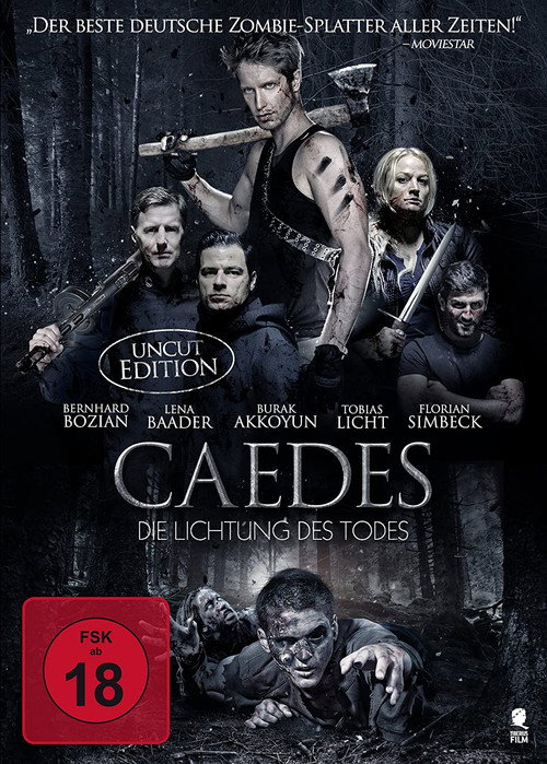 Poster for Caedes