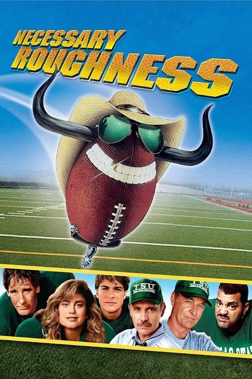 Poster for Necessary Roughness