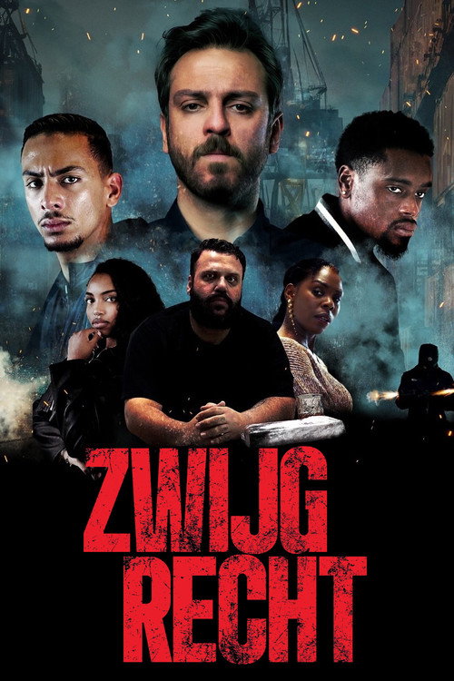 Poster for Право на молчание