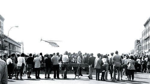 Backdrop for Собачий полдень