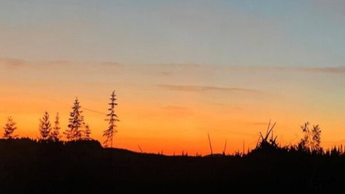 Backdrop for Грешники Айдахо